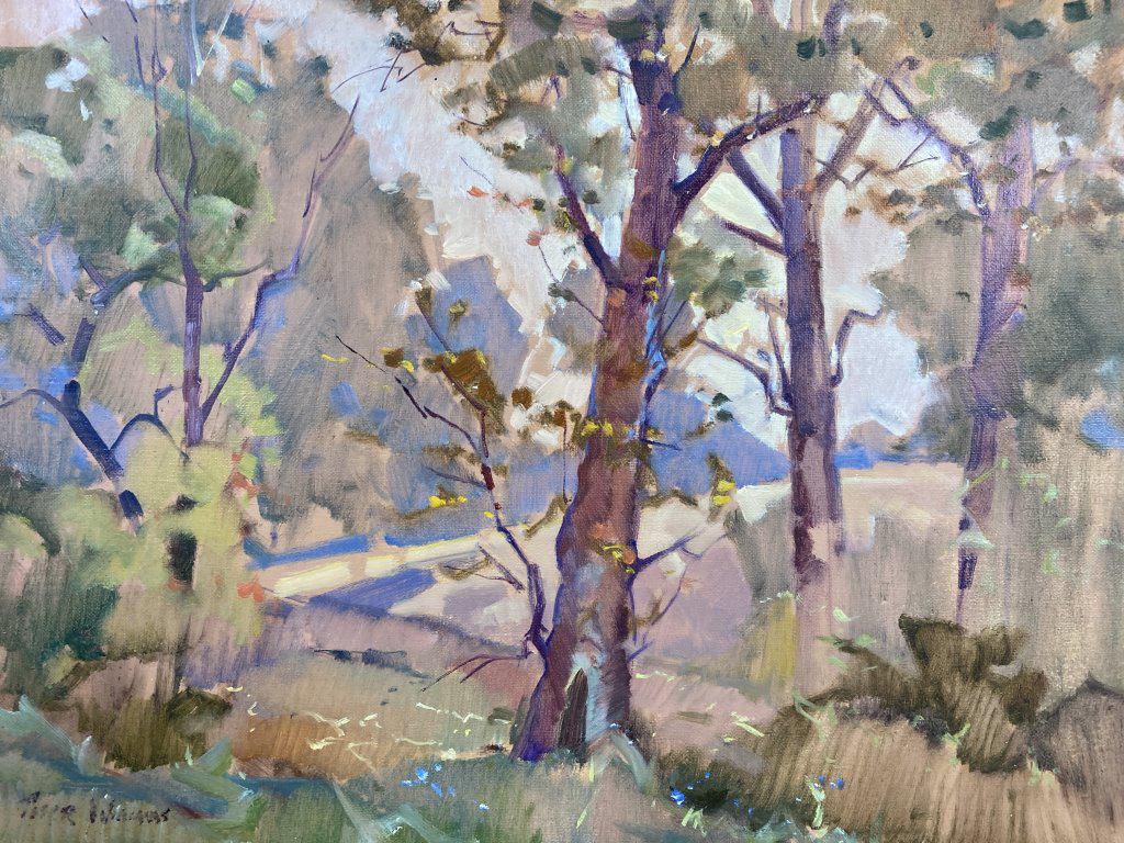 Kentucky Trees oil on canvas, 14x18 unframed (1 of 1)