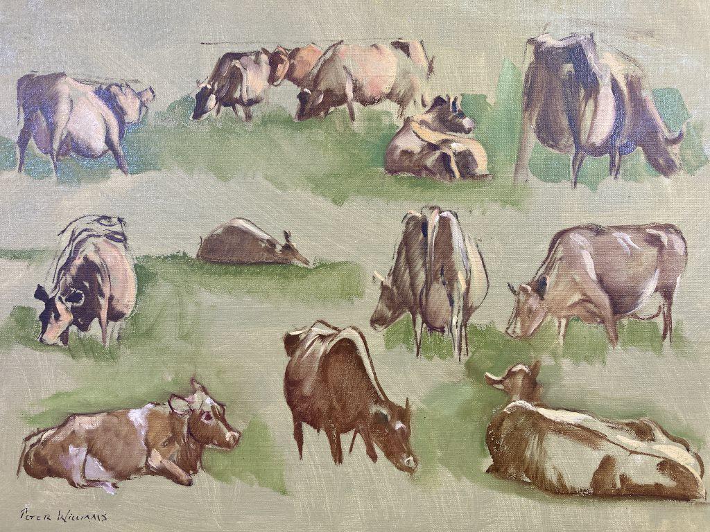 Cow Study oil on canvas, 18x24 unframed (1 of 1)