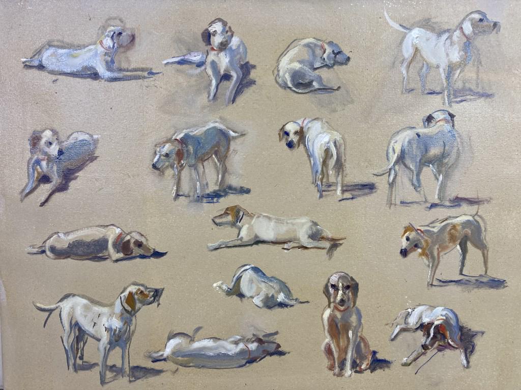 Hound Study oil on canvas, 18x24 unframed and (1 of 1)