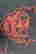 item-137119095=4