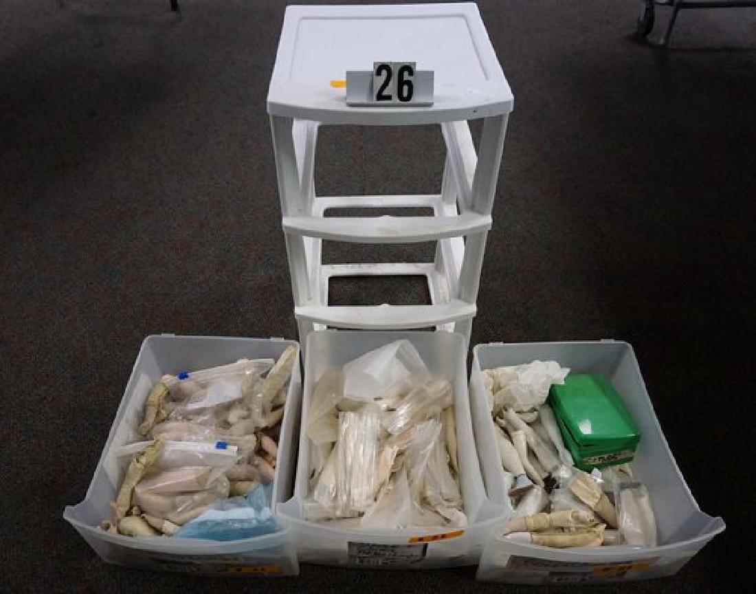 PLASTIC STOARGE BIN WITH (3) PLASTIC DRAWERS CONTAINING (1 of 4)