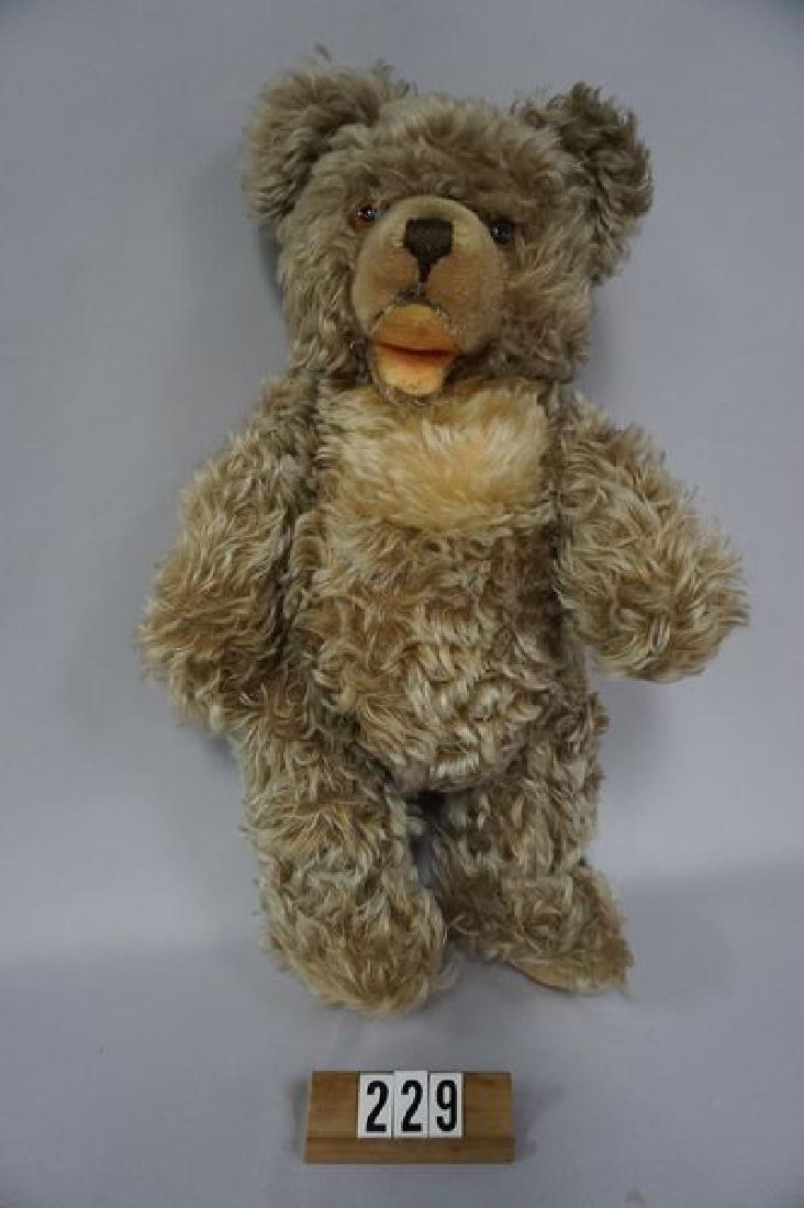 STEIFF 17 INCH MOLLYE BEAR WITH SOME SOILING IN MOUTH (1 of 4)