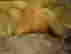 item-65812638=6
