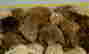 item-108635467=3