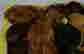 item-108635468=2