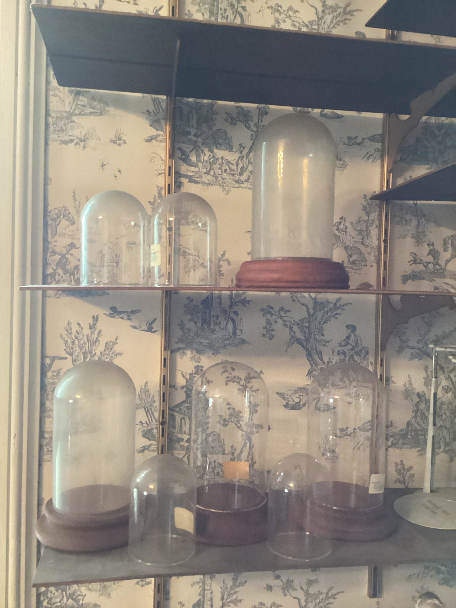 Lot of Glass Dome Display Stands largest 8.25" (1 of 1)