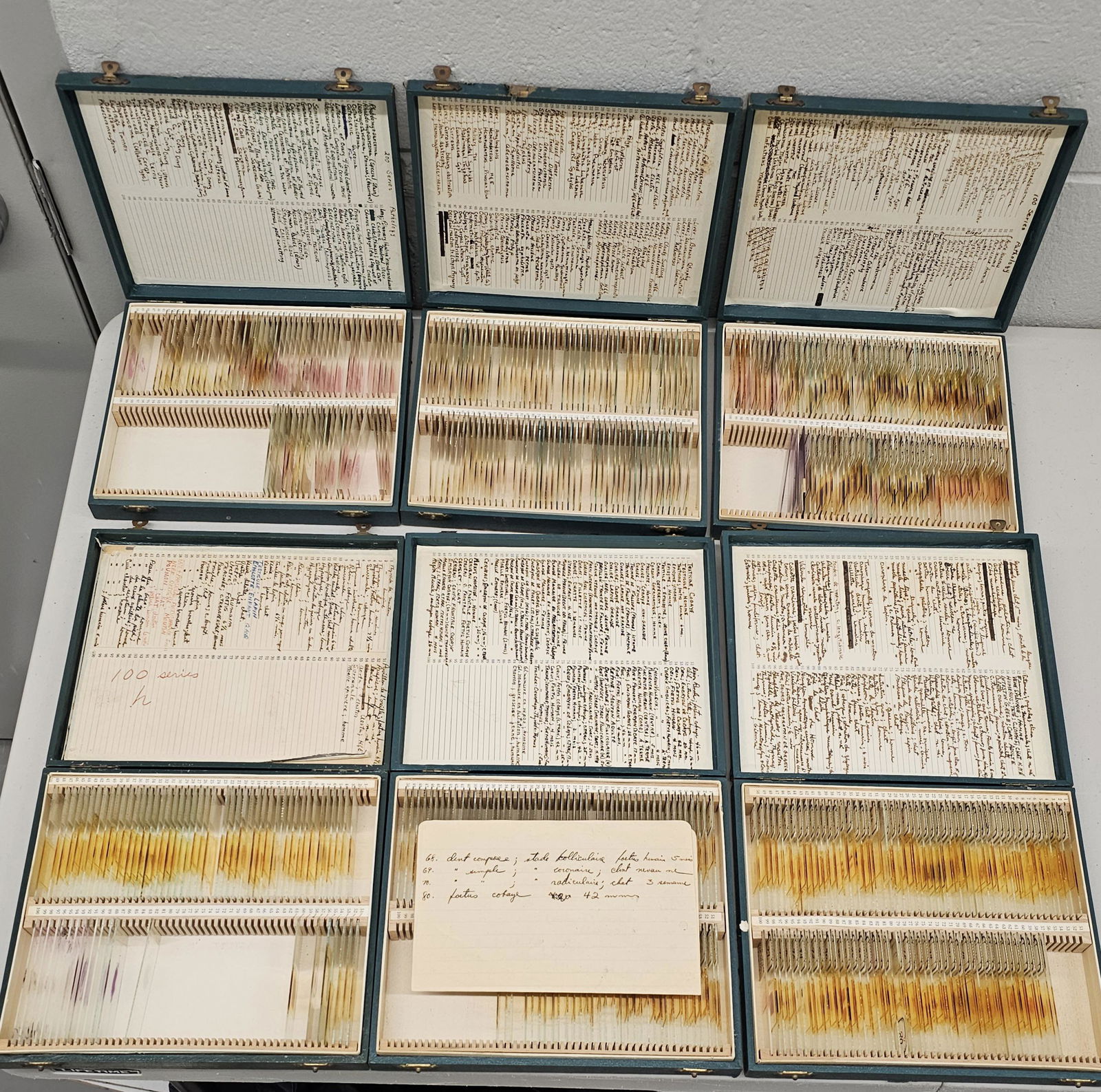 Boxed and Labeled Vintage Medical Slides (1 of 4)