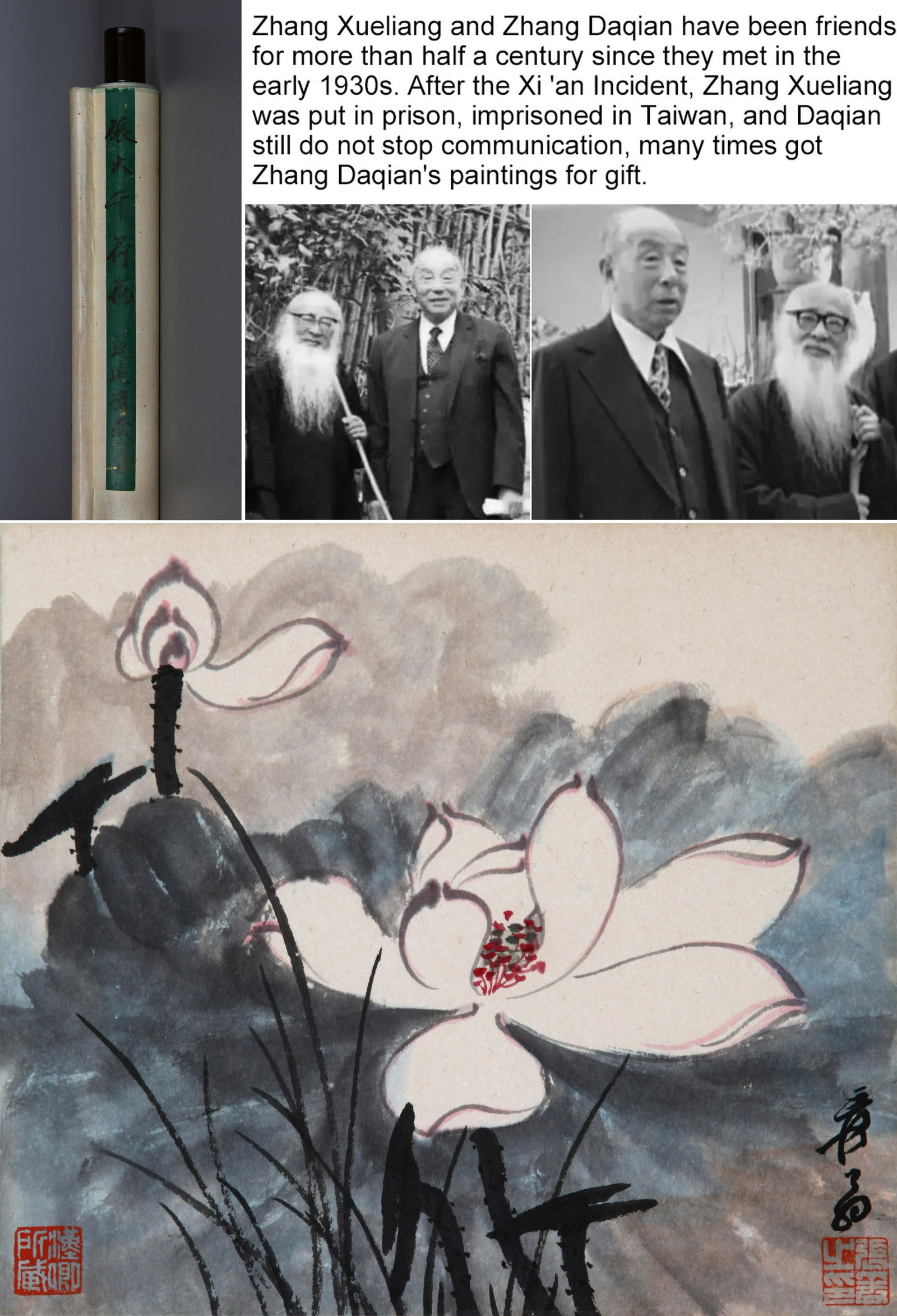 CHINESE SCROLL PAINTING OF LOTUS SIGNED BY ZHANG DAQIAN: CHINESE SCROLL PAINTING OF LOTUS SIGNED BY ZHANG DAQIAN. Image only size 23.5 by 26.5. We provide in-house packing and shpping service. Shipping cost will be added into invoice. USA demostic shipping