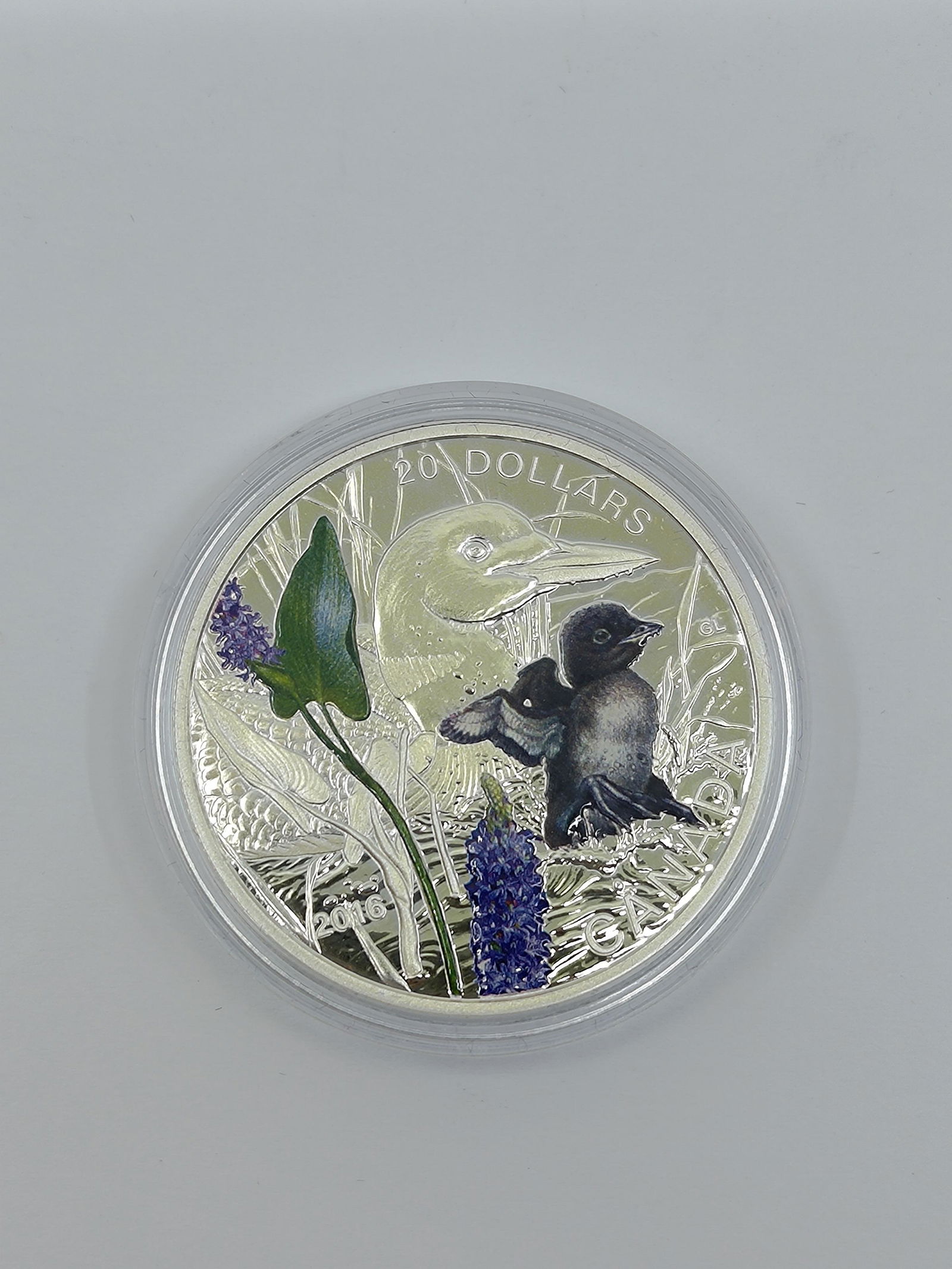 2016 20$ Fine Silver Coin Baby Animals: Common Loon (1 of 4)