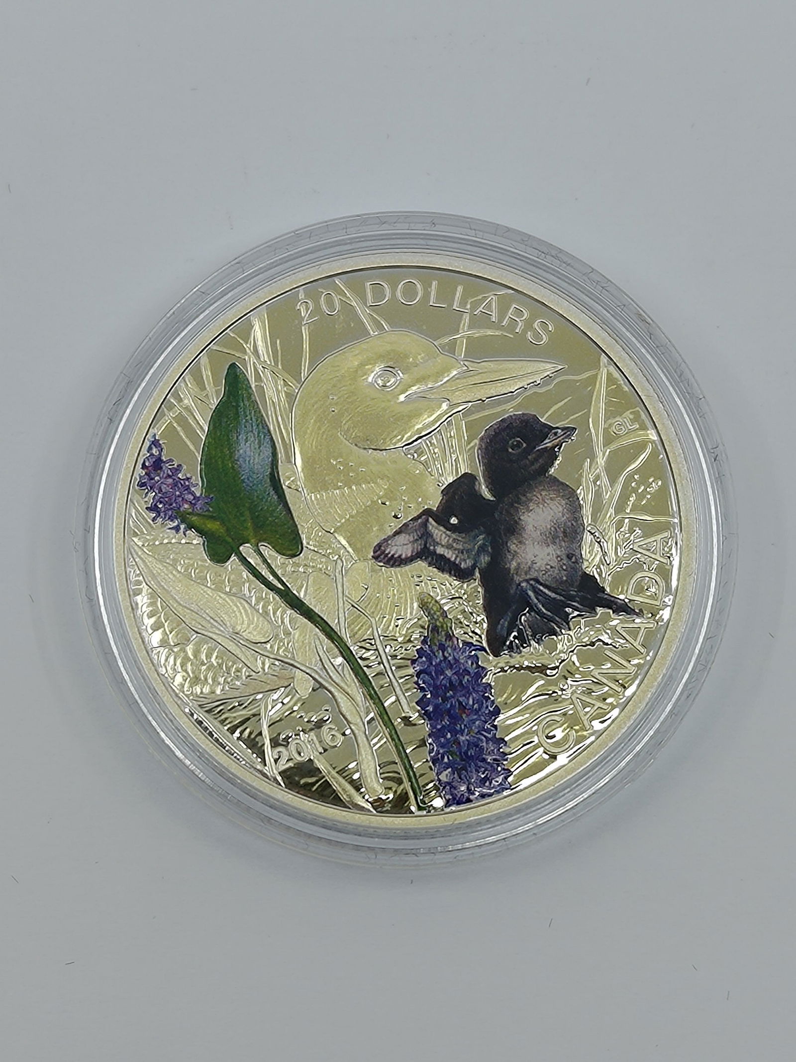 2016 20$ Fine Silver Coin Baby Animals: Common Loon (1 of 4)