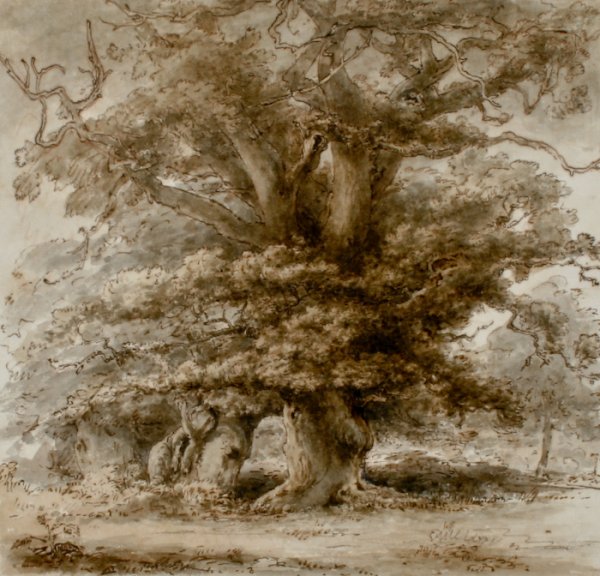 Heneage Finch, In the Park at Packington: Heneage Finch, Fourth Earl of Aylesford (British, 1751-1812) In the Park at Packington, ink and ink wash on paper, titled in the mount "In the Park at Packington" with notation in pencil on verso "Hen