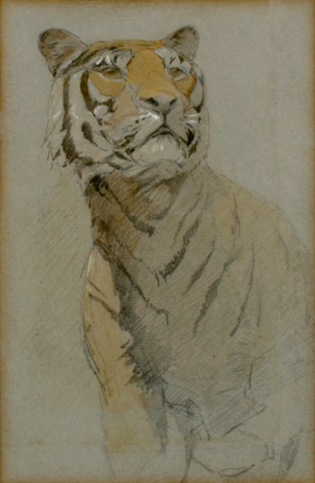 John Macallan Swan, Tiger: John Macallan Swan (British, 1847-1910) Tiger, graphite and watercolor on paper, notation in pencil on verso "J. M. Swan, RA", 6-1/4 x 4-5/8 inches (sheet), under glass in a mat in wood frame. Provena
