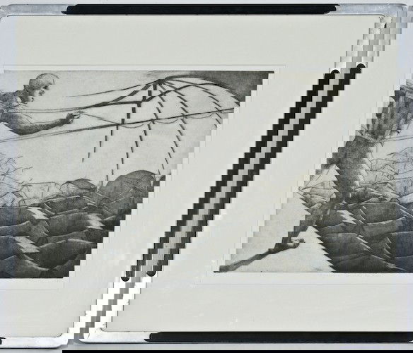 Pipomo, Omaggio a Leonardo da Vinci: Pipomo (Italian, 20th Century) Omaggio a Leonardo da Vinci, intaglio, 1980, numbered, titled, signed and dated along lower margin "r.s. 'Omaggio a Leonardo da Vinci' Pipomo 1980", 15-1/4 x 19-1/2 inch