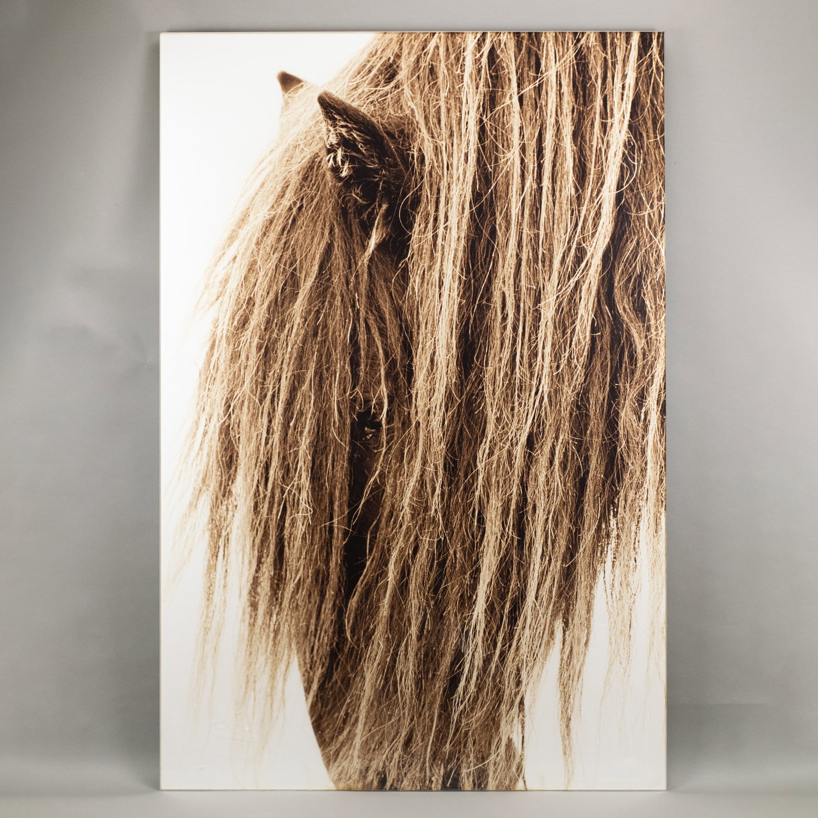 Roberto Dutesco, "Hair" (1 of 3)