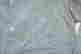 item-137124754=4