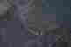 item-137125695=4