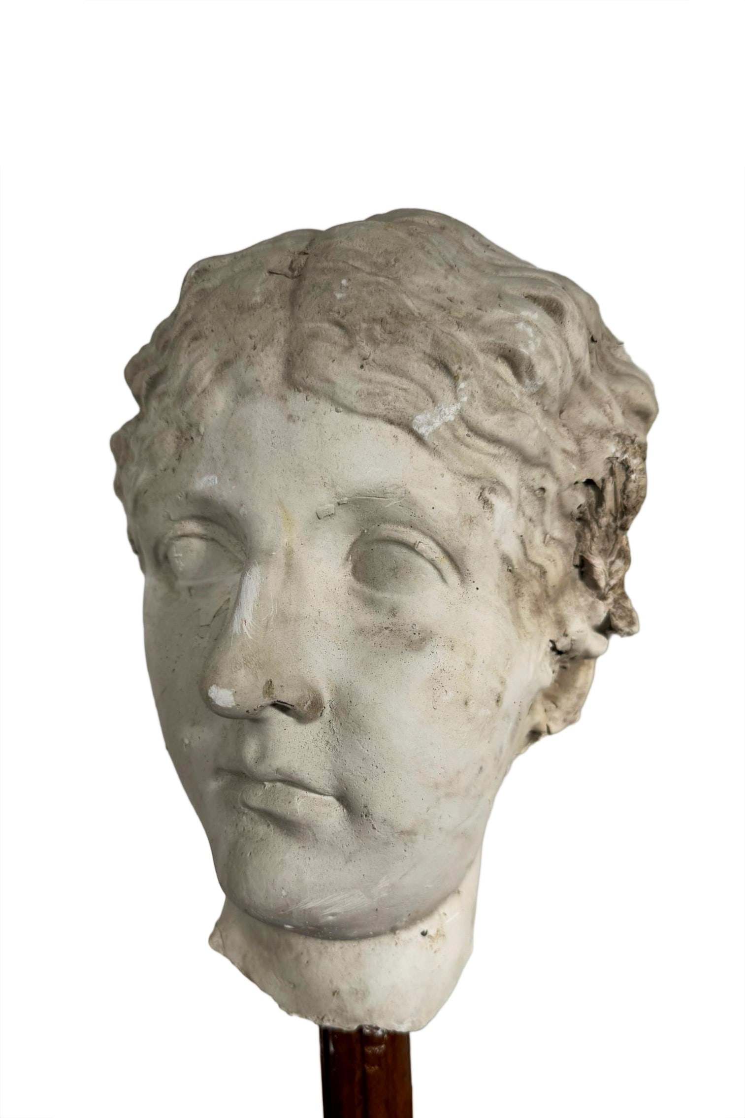 ANCIENT SCULPTURE – ACADEMIC PLASTER CAST OF THE GODDESS APHRODITE, (1 of 1)