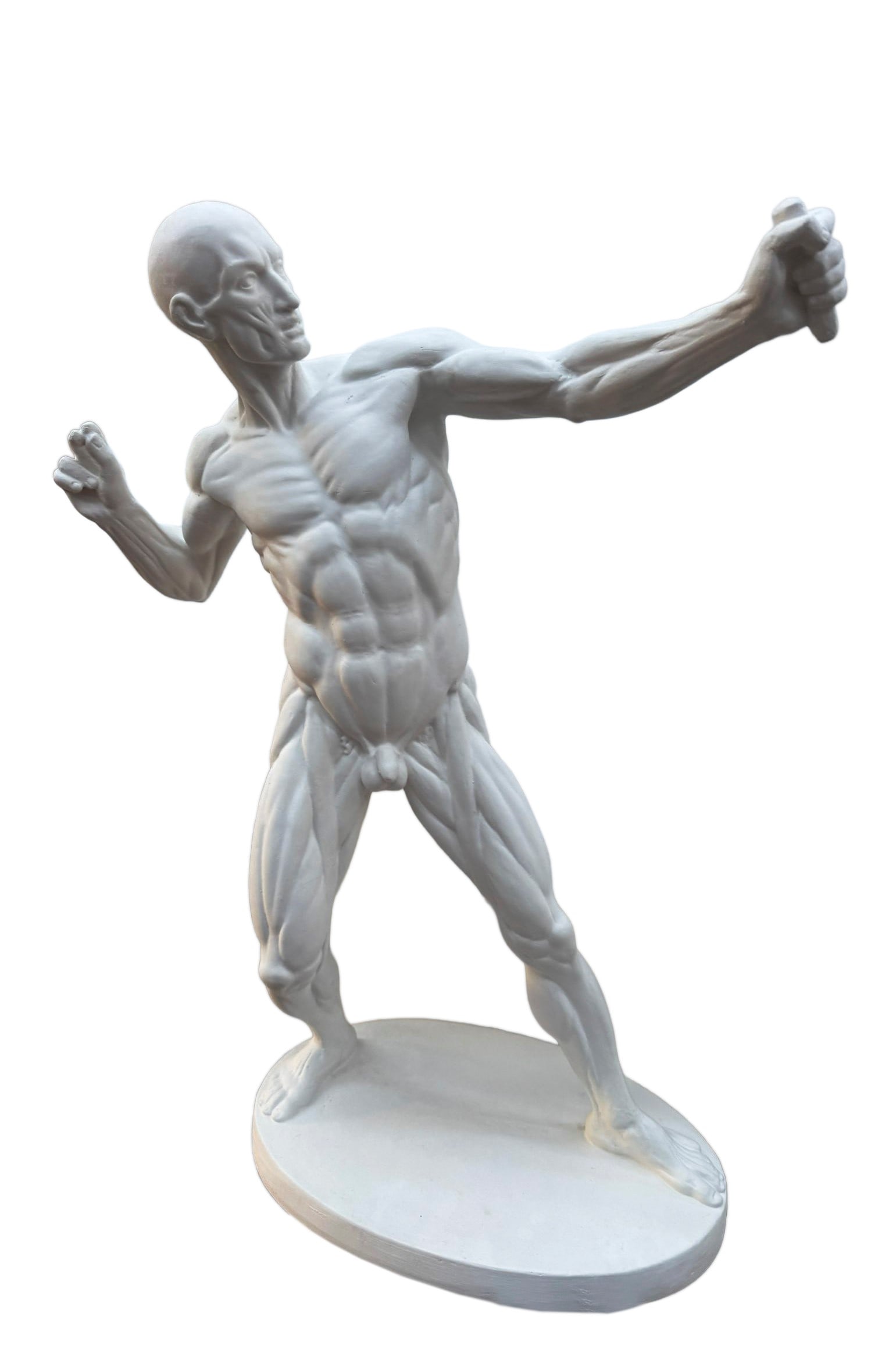 ANATOMICAL MODEL OF A MAN – ARCHER, (1 of 1)
