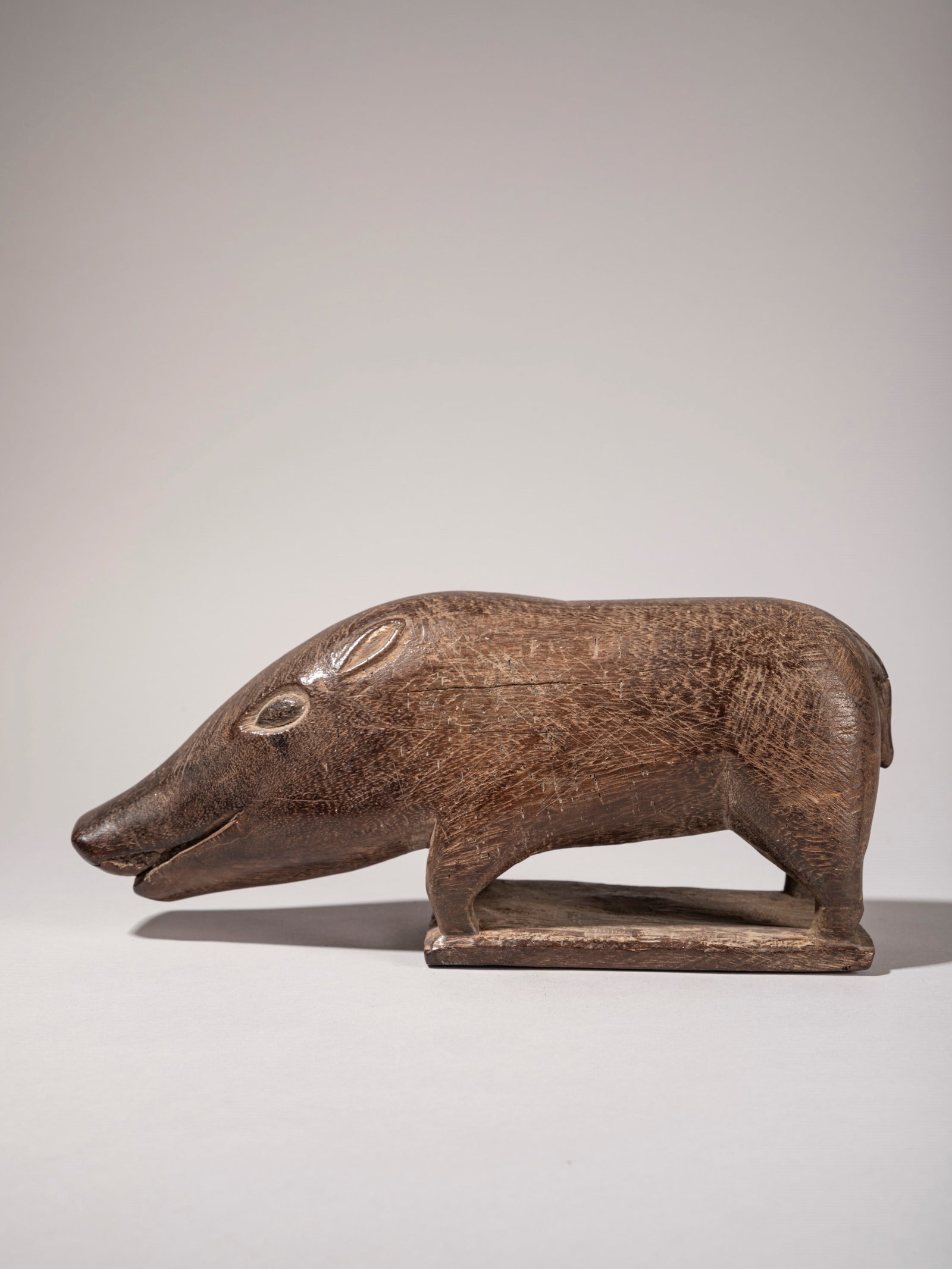 WILD BOAR IN IRONWOOD, Dayak, Indonesian Borneo (1 of 3)