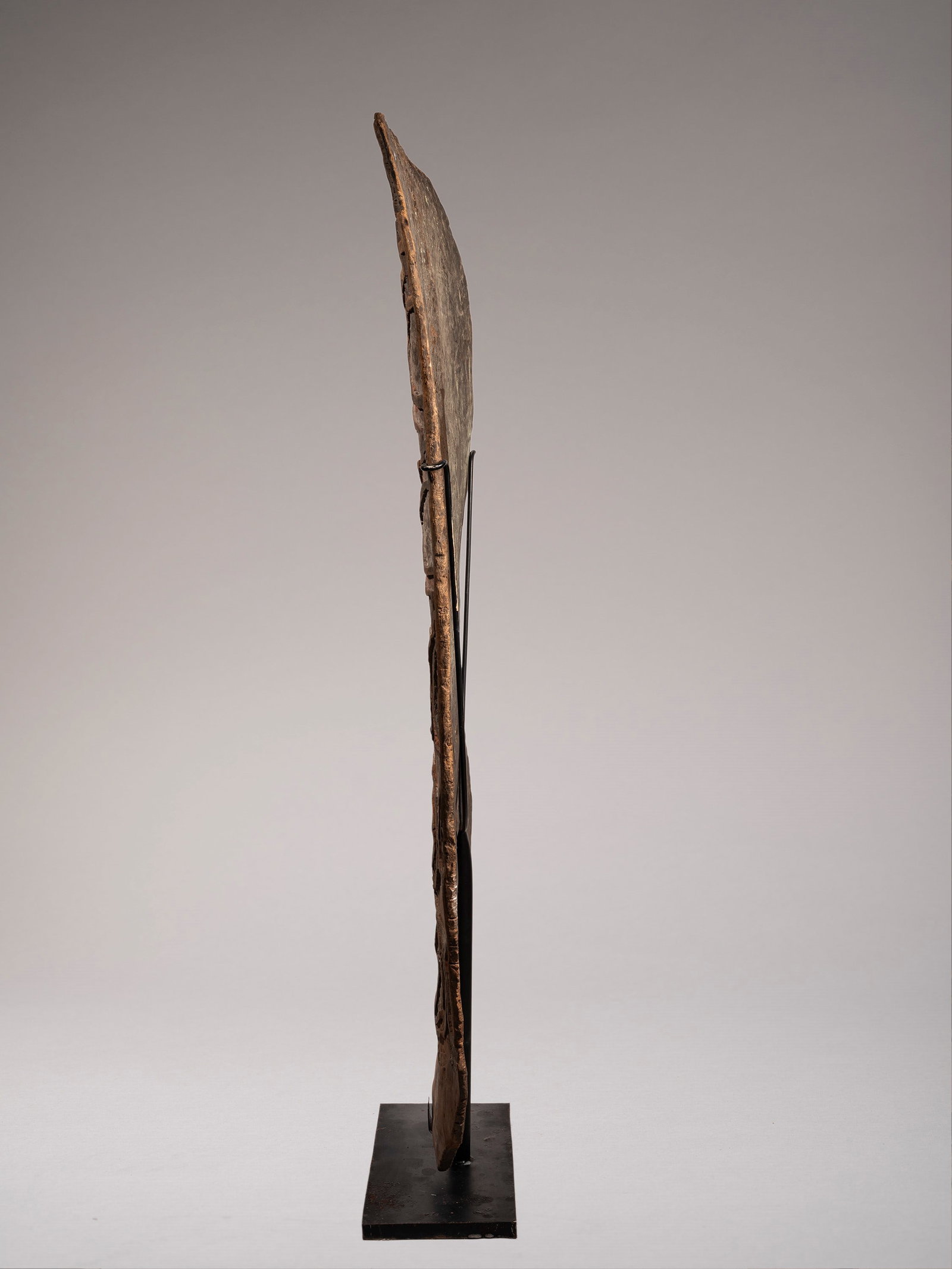 LARGE WAR SHIELD, Asmat, villages in the north-west, West Papua (1 of 2)