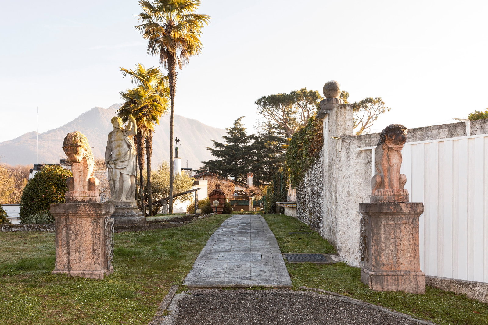 §A PAIR OF RED VERONA MARBLE LIONS, 19th / 20th century: h cm 81 e 85 (pedestal h cm 110 circa) Depicted crouching on all four legs, with a thick, finely carved mane and open jaws.This lot will not be on public view during the exhibition. Please contact the