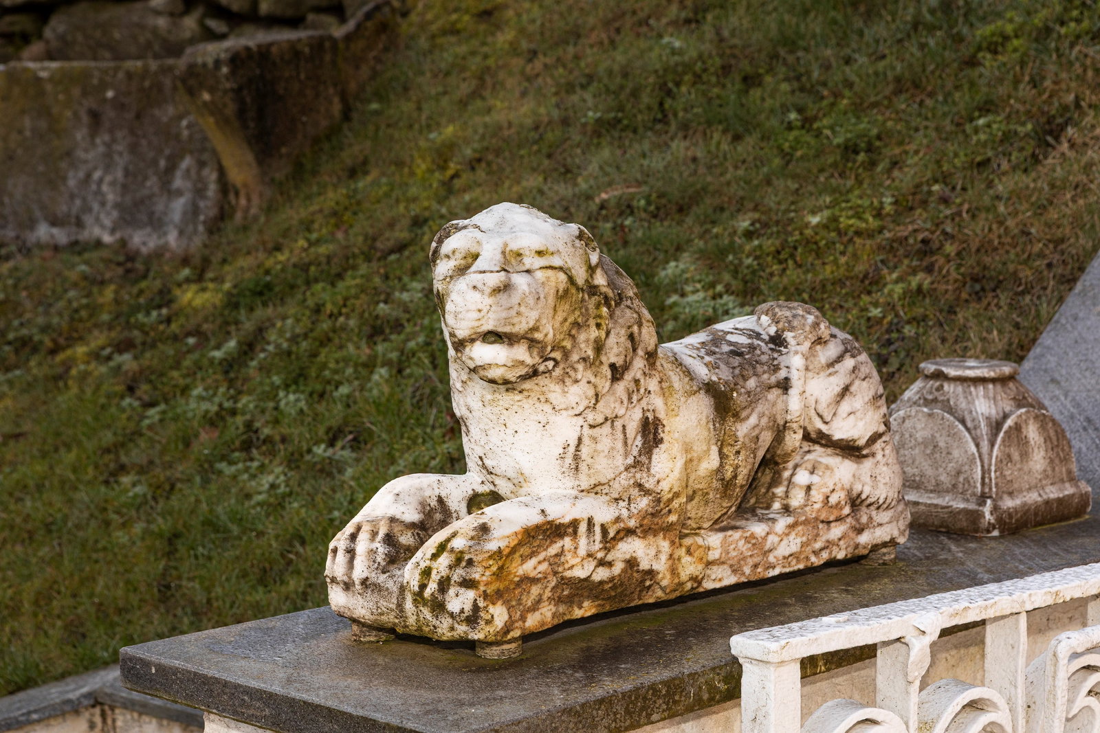 §A PAIR OF MARBLE LIONS, 19th century (1 of 6)