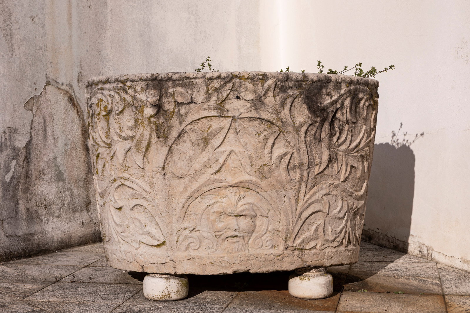 §AN ISTRIAN STONE VESSEL, 19th century: l cm 92 x p cm 72 x h cm 62 It has a slightly tapered cylindrical body, entirely decorated on the exterior surface. At the center of the main face, a mascaron is carved among vegetal volutes and acant