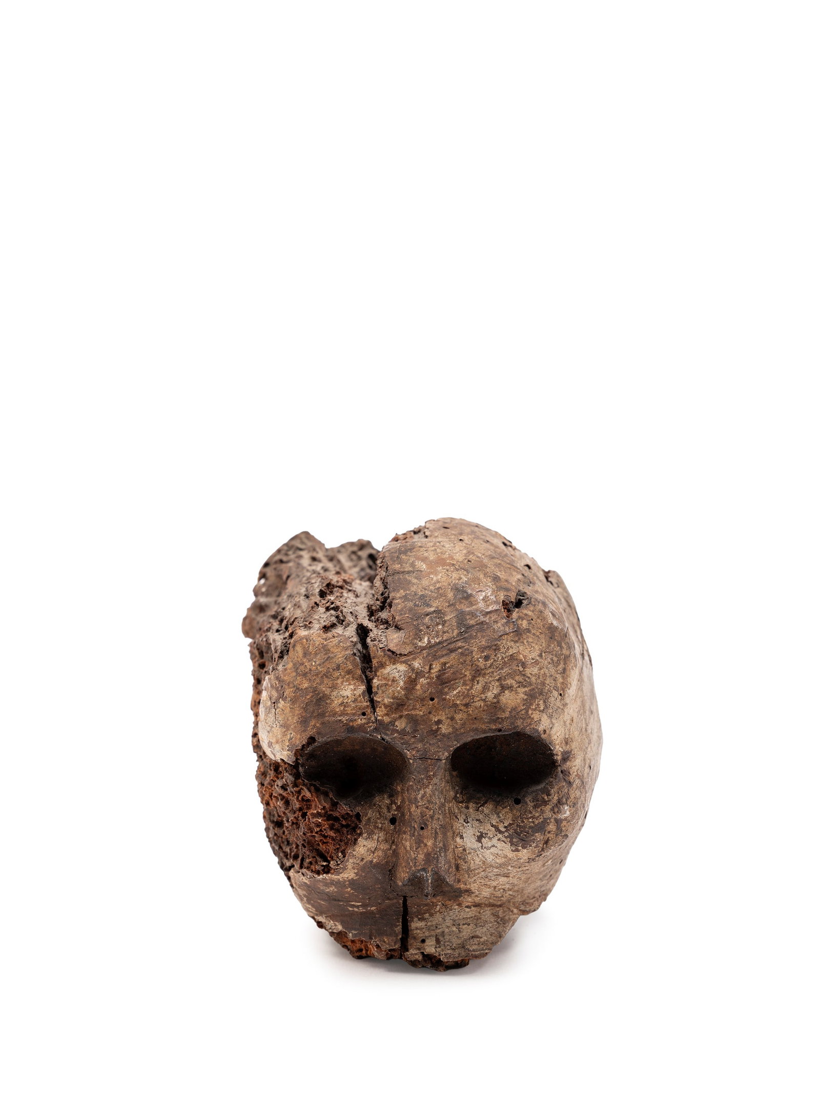 AN ANCIENT TIBETAN SKULL IN WOOD, (1 of 2)