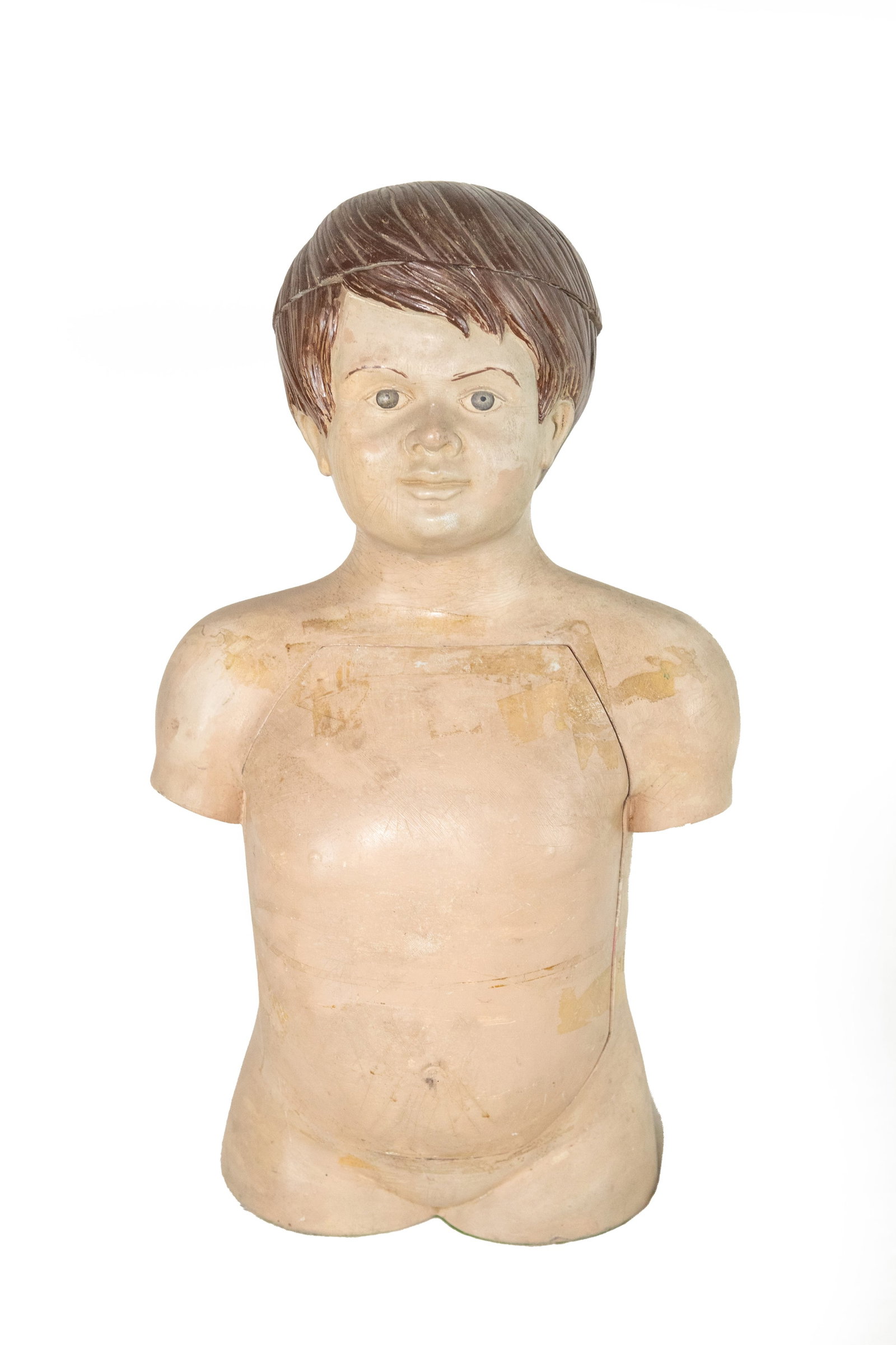 °ANATOMICAL BUST, 20th century (1 of 4)