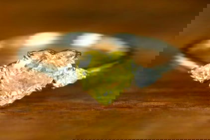 0.76ct Natural Yellow Diamond 18Kt Gold Ring