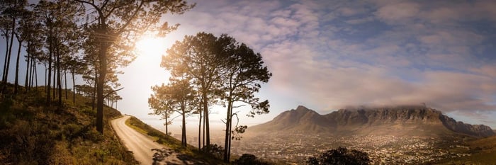 Martin Osner "Signal Hill Drive" Signed Open Edition Print