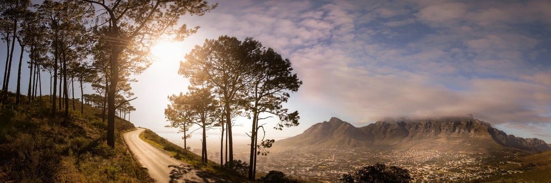 Martin Osner "Signal Hill Drive" Signed Open Edition Print (1 of 5)