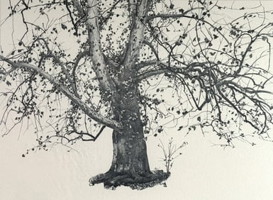 Andrew Wyeth (American, 1917-2009) 'New Leaves' Print