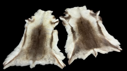 Pair of Reindeer Hide Rugs