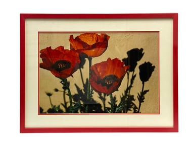 Joan Brooks Baker " Flower" Cibachrome Print