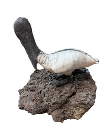 Rare Vtg Composite Pelican Bird on Lava Figurine Signed and Numbered Limit 500 Pieces