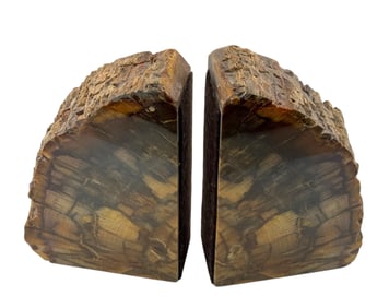 Pair of Petrefied Wood Bookends