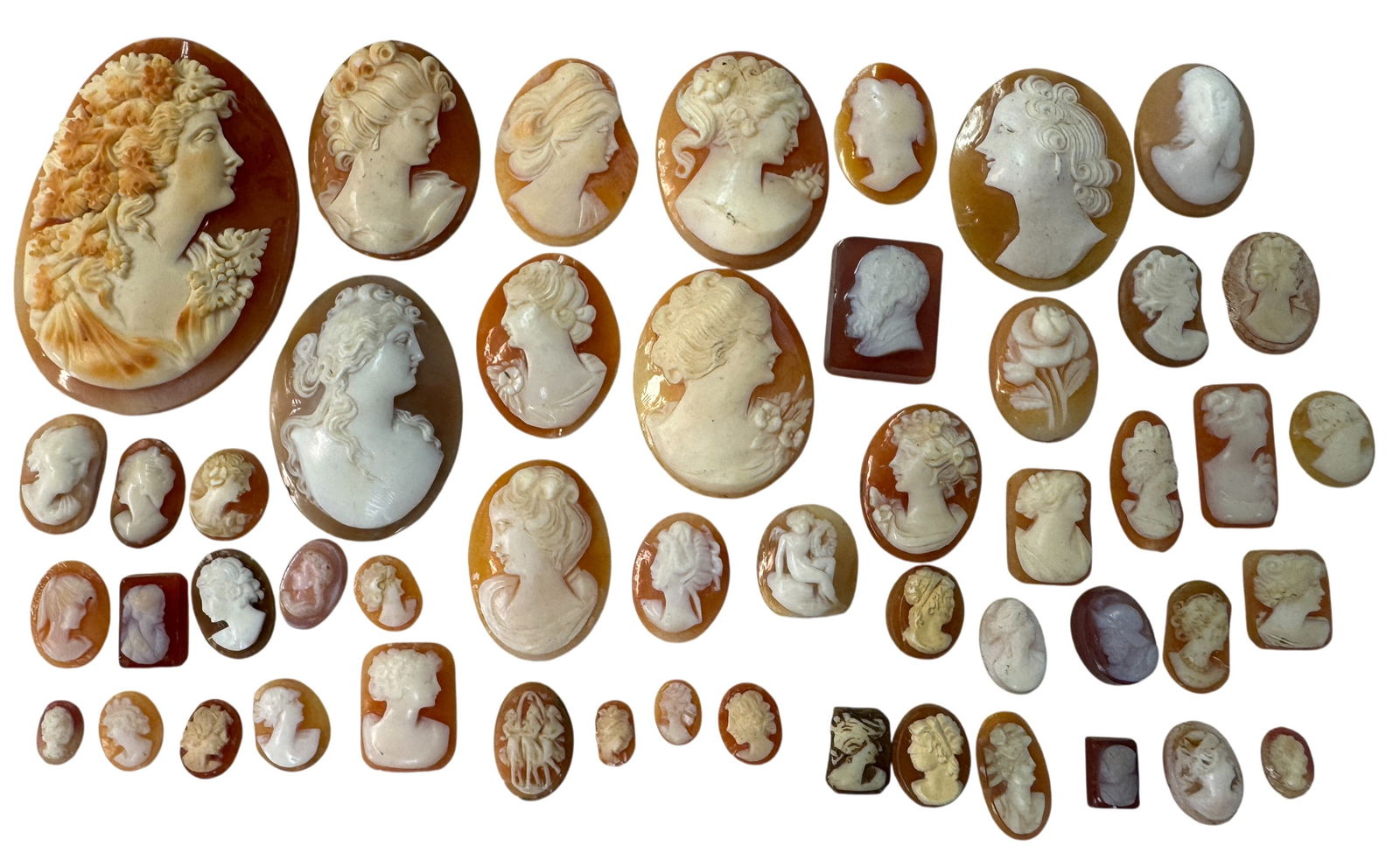 Large Collection of Loose Shell Cameos: Large Collection of Loose Shell Cameos. Largest piece is 2" x 1.5" j/m