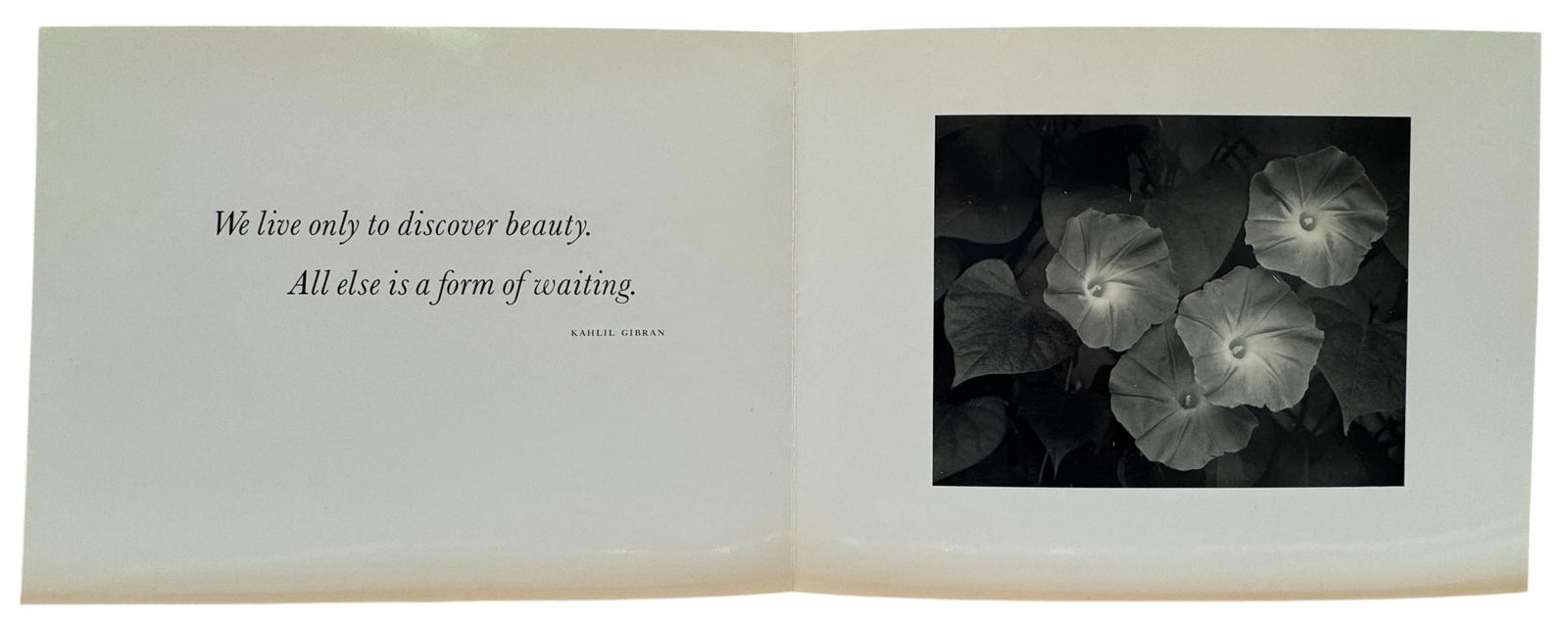 1958 Greeting Card from Ansel Adams and Virginia (1 of 2)