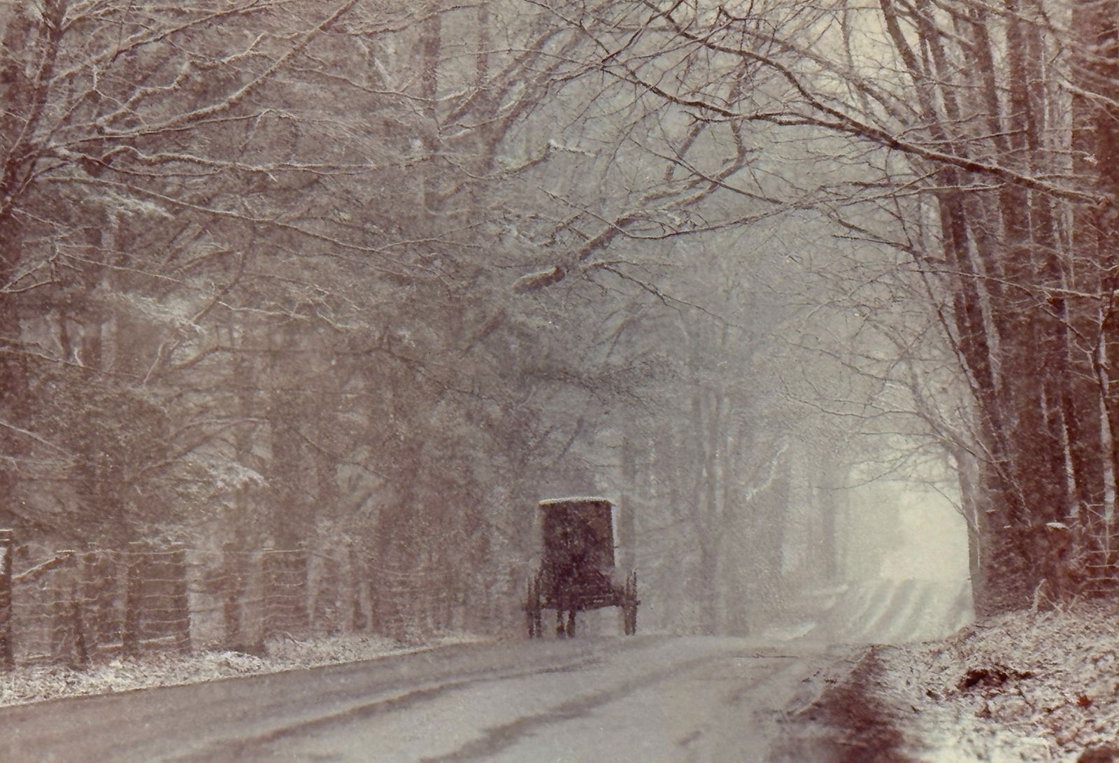 Bill Coleman (American 1925-2014), Signed Photography "Amish": Bill Coleman (American 1925-2014), Signed Photography "Amish." Numbered 8/750. Frame size 16" x 14" a/r