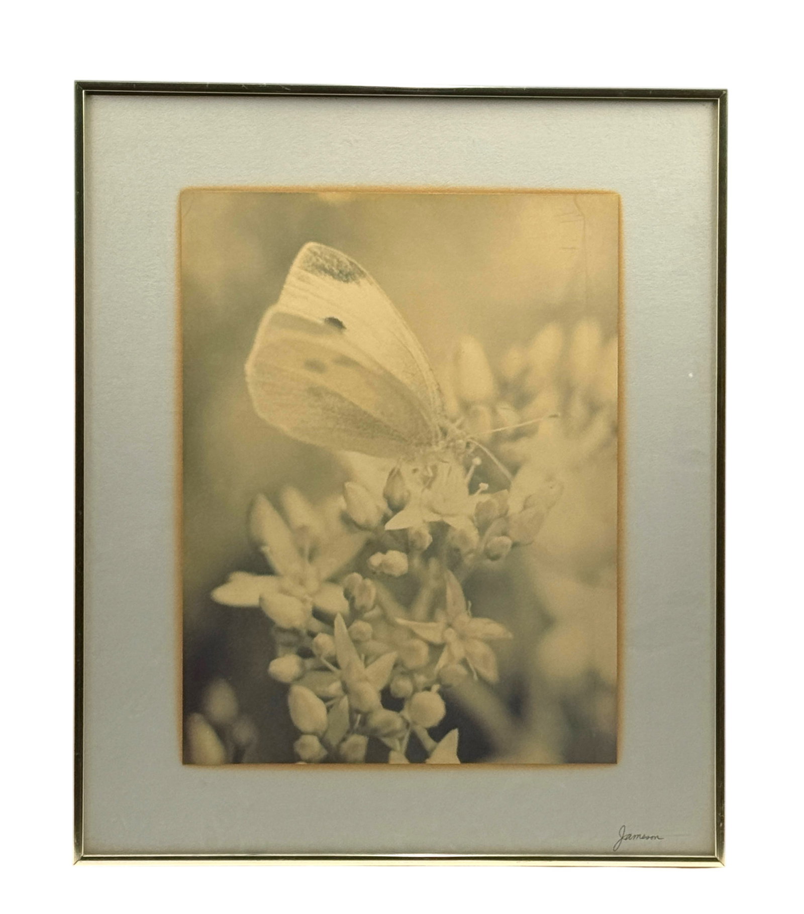 Howard Jameson Nature Photograph Signed (1 of 2)