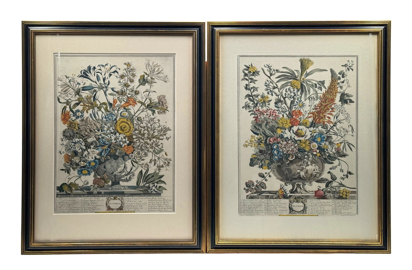 Two Vtg Art Prints "November" & "December" from Robert Furber's "Twelve Month of Flowers" (1 of 3)