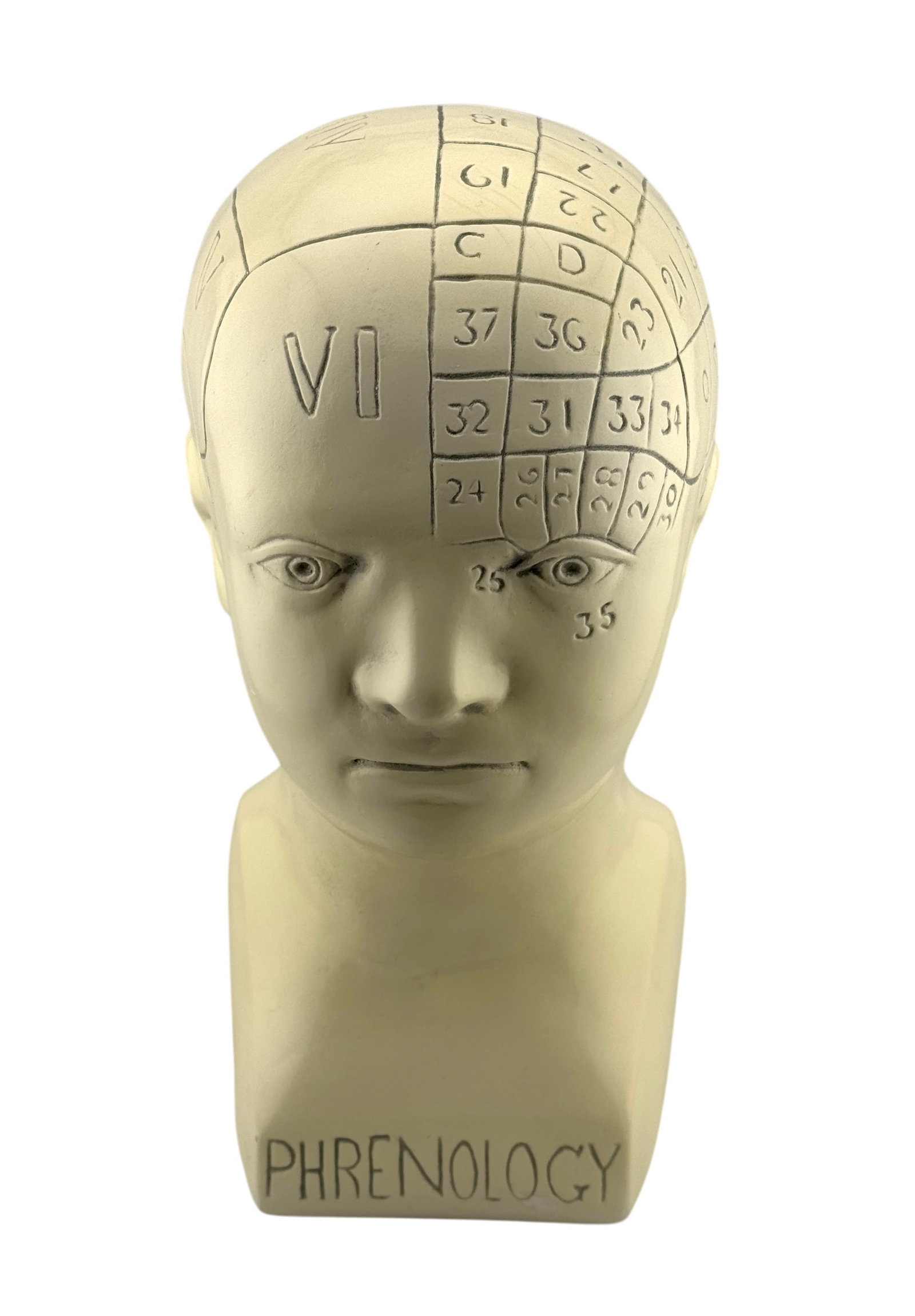 Vintage Phrenology Head Bust - Oddity: Vintage Phrenology head, made from Plaster or Chalkware. Some minor glaze chipping on back of head. Dimensions: 12" x 5" x 6" A/R