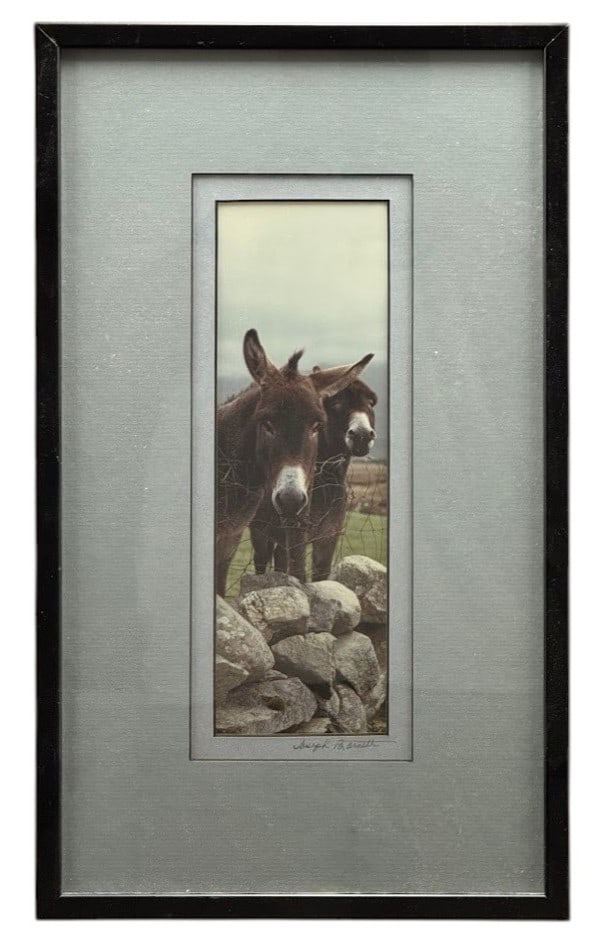 Joseph A. Barnett Signed Framed Photo "Donkeys" (1 of 3)
