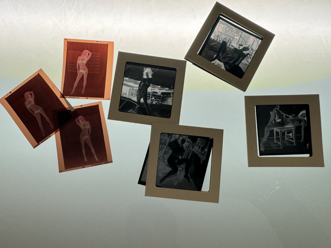 Bettina Rheims - Private Archive - 7 Original Negatives (1 of 1)