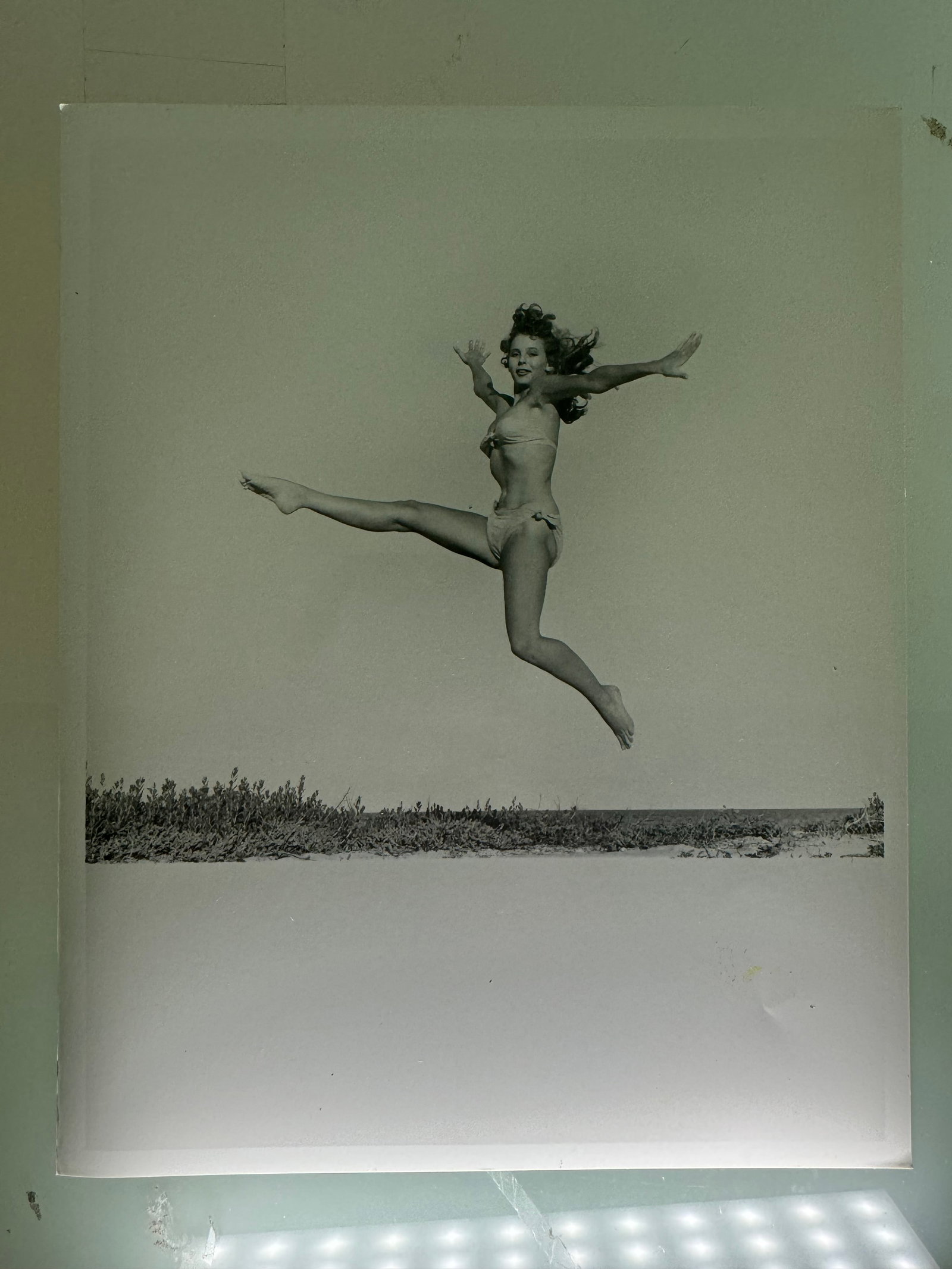 Bunny Yeager - Photo signed by Bunny Yeager: 25x20 cm - Signed with the studio Stamp