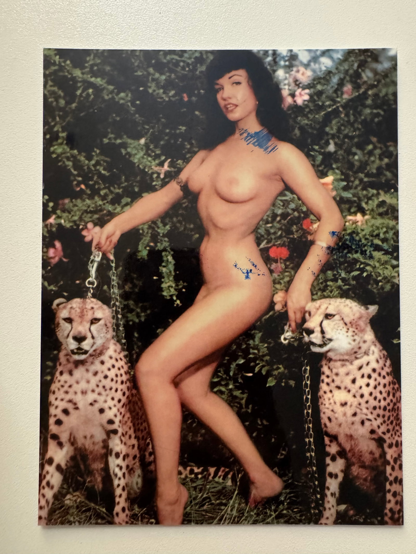 Bunny Yeager - Bettie Page - Private Archive - Signed Photo by Bettie Page: From Private Archive of Bunny Yeager Studio - Signed by Bettie Page - Photo from 70's