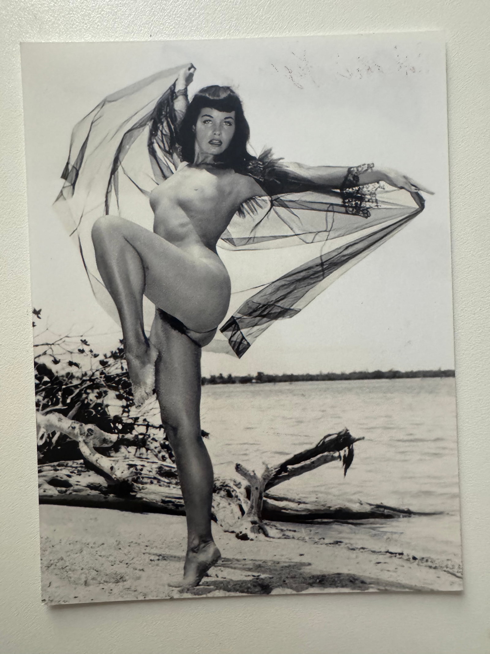 Bunny Yeager - Bettie Page - Private Archive - Signed Photo by Bettie Page: From Private Archive of Bunny Yeager Studio - Signed by Bettie Page - Photo from 70's