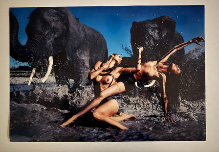 Peter Beard - Abu Camp/Jack’s Camp, Botswana 2009 © The Cal - Collezione Pirelli - Signed: 45x60 cmC-Print on Epson Paper