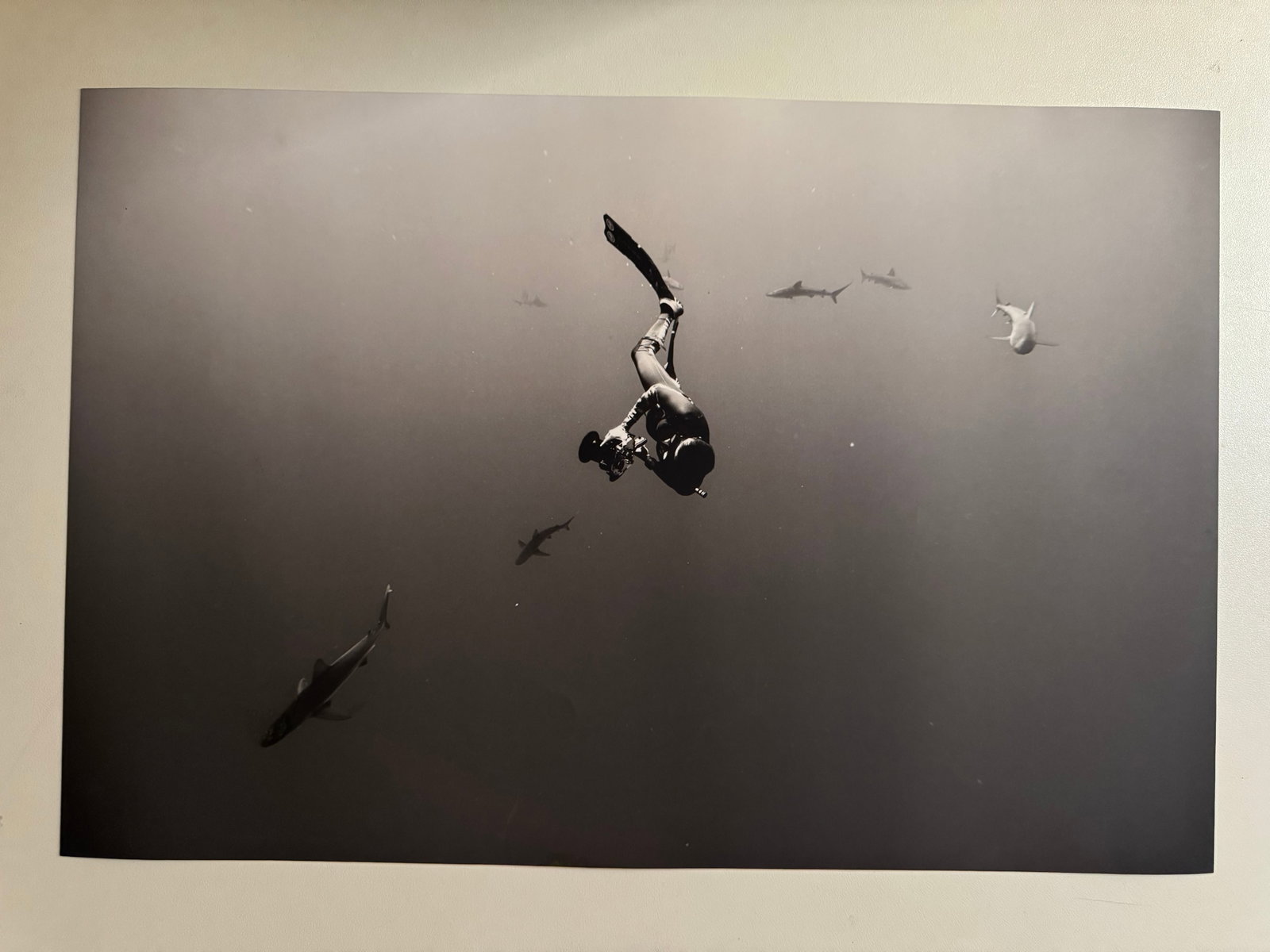 Krystle Wright - on Failure, Passion and Embracing Unexpected Adventure, 2020 - Studio Stamp: 30x50 cm on Silk Paper - National Geographic Studio Stamp